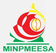 Logo Minpmeesa