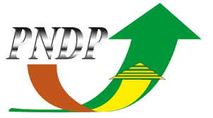 Logo PNDP client AFREETECH